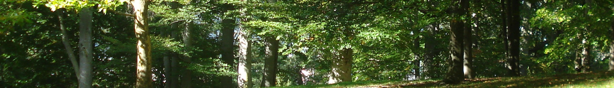 Kleingartenverein "VGK Nauwalde e.V."